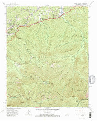 Mount Le Conte 1964 topographic map thumbnail