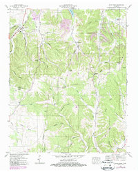 Sandy Hook 1951 topographic map preview