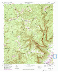Savage Point 1946 topographic map thumbnail