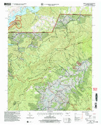 Shady Valley 2003 topographic map thumbnail