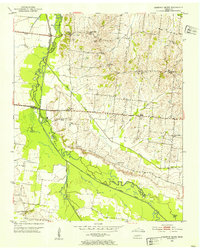 Chestnut Bluff 1952 topographic map thumbnail