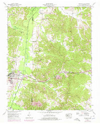 Bruceton 1950 topographic map thumbnail