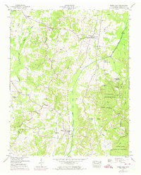 Buena Vista 1950 topographic map thumbnail