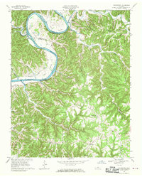 Burristown 1968 topographic map thumbnail