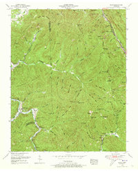 Block 1952 topographic map preview