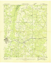 Bruceton 1936 topographic map thumbnail