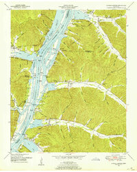 Daniels Landing 1949 topographic map thumbnail
