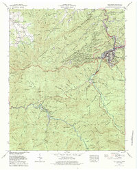 Gatlinburg 1979 topographic map thumbnail