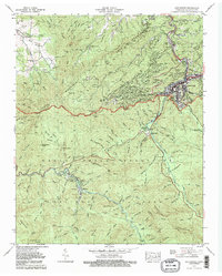 Gatlinburg 1979 topographic map thumbnail