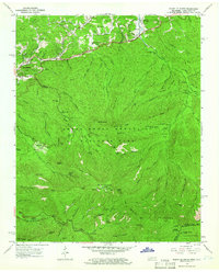 Mount Le Conte 1964 topographic map thumbnail