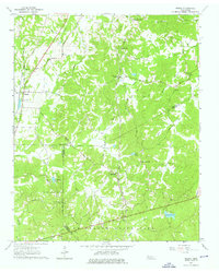 Medon 1961 topographic map thumbnail
