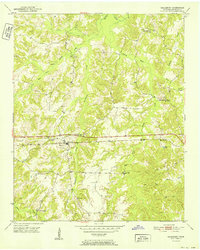 Saulsbury 1952 topographic map thumbnail