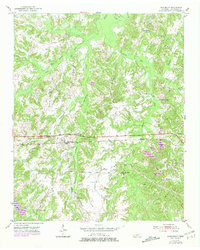 Saulsbury 1952 topographic map thumbnail