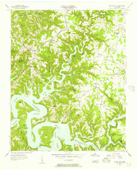 Silver Point 1956 topographic map preview