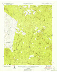 Smartt Mountain 1946 topographic map thumbnail