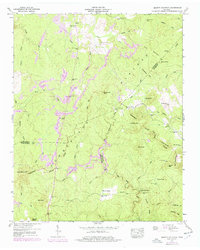 Smartt Mountain 1946 topographic map thumbnail