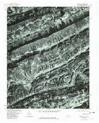 Sneedville 1976 topographic map thumbnail
