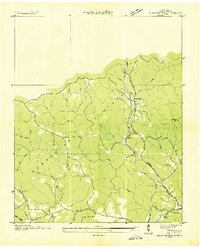 Pilot Mountain 1935 topographic map preview