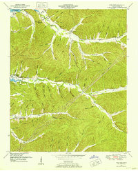 Pine View 1949 topographic map thumbnail