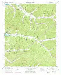 Pine View 1949 topographic map thumbnail