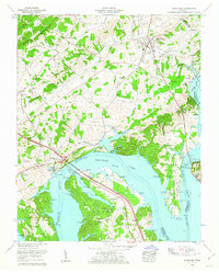 White Pine 1961 topographic map thumbnail
