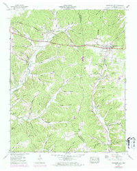 Tennessee City 1953 topographic map thumbnail