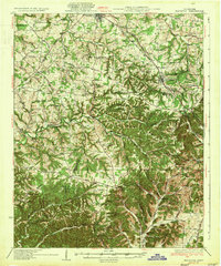 Ridgetop topographic map thumbnail