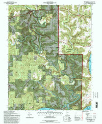 Beechwood 1993 topographic map thumbnail