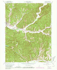 Nashville 1961 topographic map thumbnail