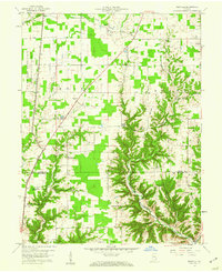Rexville 1959 topographic map thumbnail