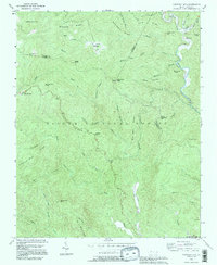 Chestnut Mountain 1993 topographic map thumbnail