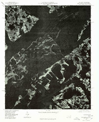 Fair Bluff 1976 topographic map thumbnail