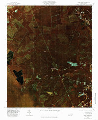 Lewis Swamp 1980 topographic map thumbnail