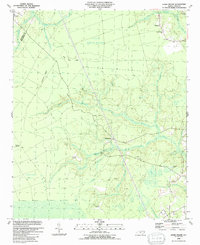 Lewis Swamp 1990 topographic map thumbnail