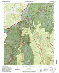 Linville Falls 1994 topographic map thumbnail