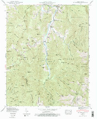 Mt. Mitchell 1946 topographic map thumbnail