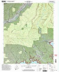 Ashford 1994 topographic map thumbnail