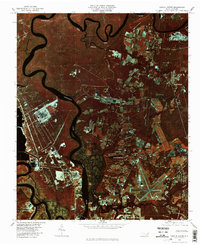 Castle Hayne 1980 topographic map thumbnail