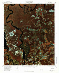 Castle Hayne 1980 topographic map thumbnail