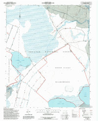 Catfish Lake 1994 topographic map thumbnail