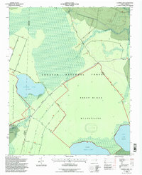 Catfish Lake 1994 topographic map thumbnail