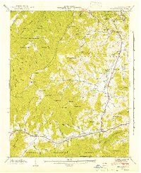 Dellwood 1941 topographic map thumbnail