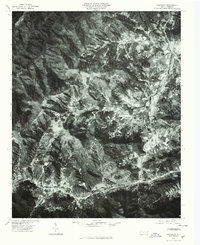 Dellwood 1976 topographic map thumbnail