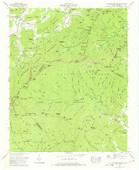 Dunsmore Mountain 1967 topographic map thumbnail