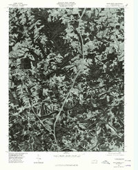 Elkin North 1976 topographic map thumbnail