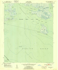 Great Island 1951 topographic map thumbnail