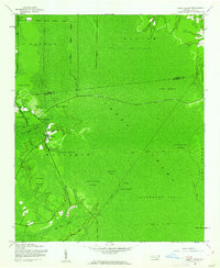 Honey Island 1943 topographic map thumbnail