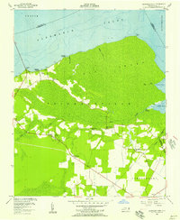 Leonards Point 1954 topographic map thumbnail