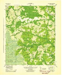 Lewis Swamp 1944 topographic map thumbnail
