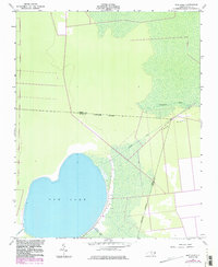 New Lake 1954 topographic map thumbnail